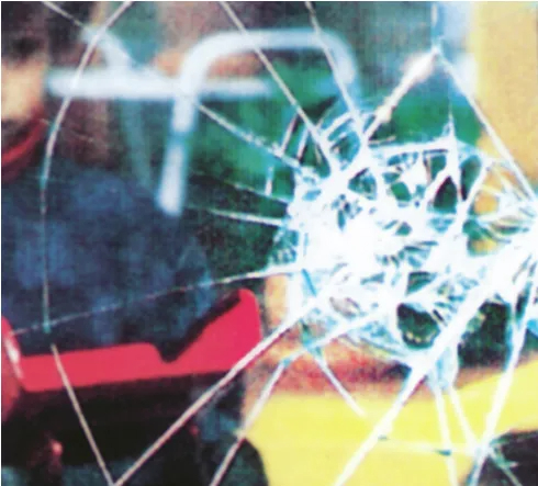 Solar reflective film, silver